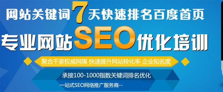 SEO网站优化推广-新站整站快速排名